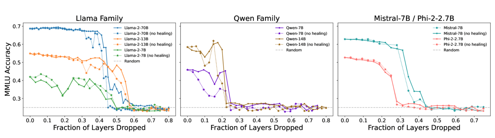 Layer pruning model families